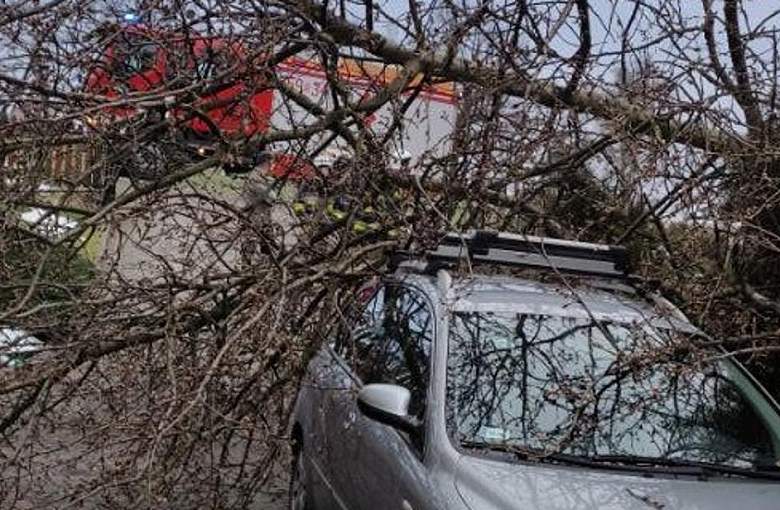 Strażacy wyjeżdżali prawie 30 razy